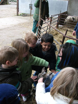 On the Farm