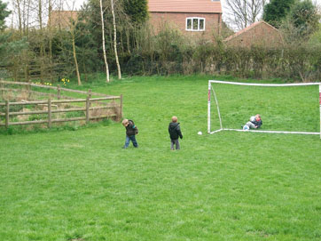 On the Farm