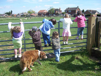 On the Farm