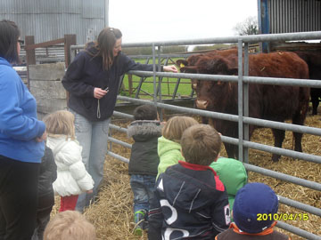 On the Farm