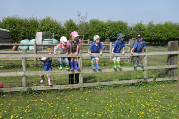 On the Farm