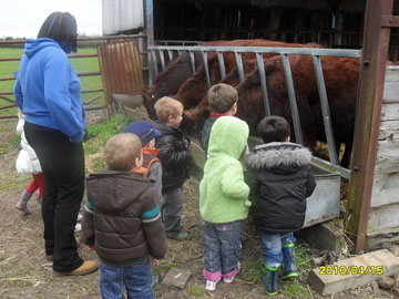 On the Farm